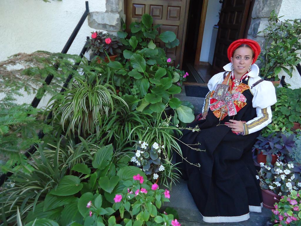 Casa Ursula ξενώνας Ansó Εξωτερικό φωτογραφία